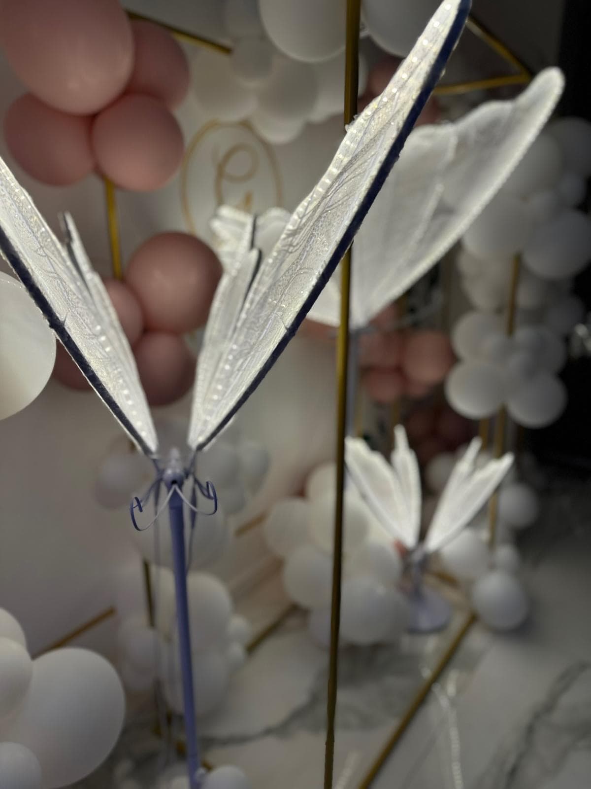 Amenajare eveniment Solène